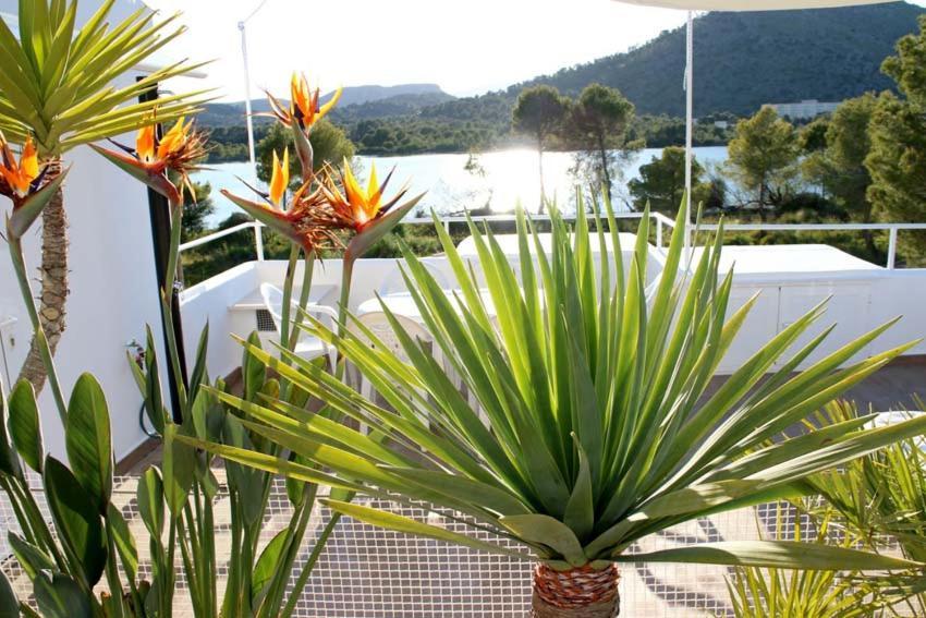 Appartement Beach Inn Apartment *